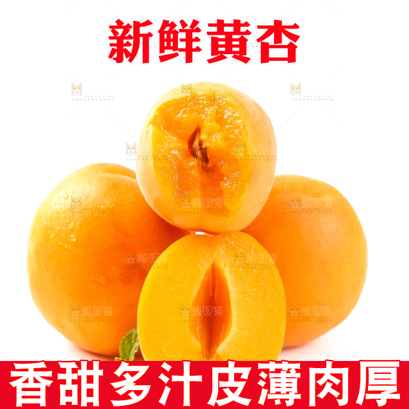 白底上摆放着杏子