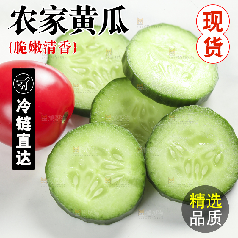 白底上摆放着切片的小青瓜
