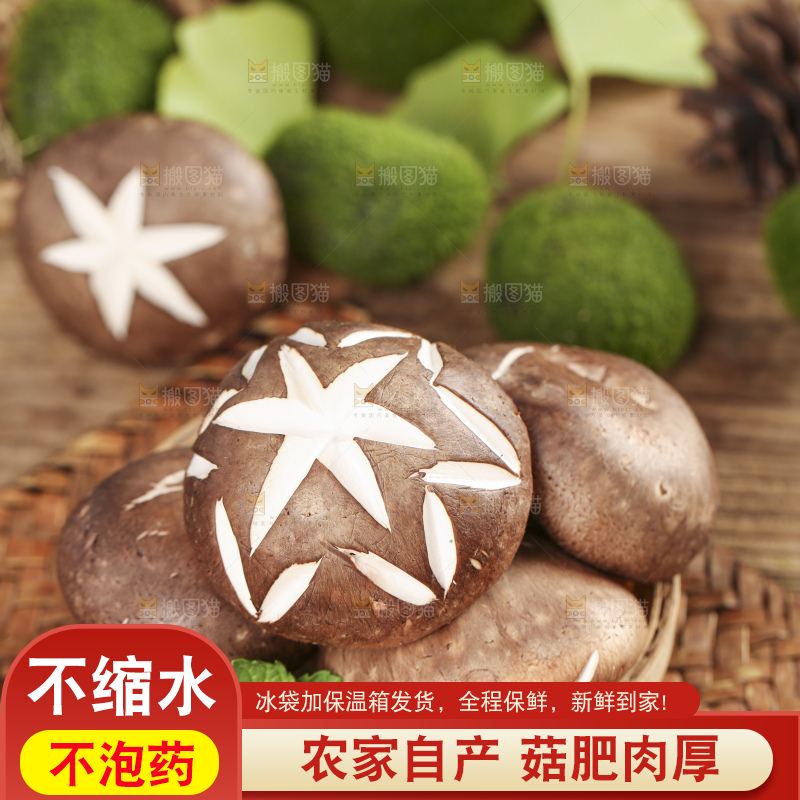 篮子里装着香菇