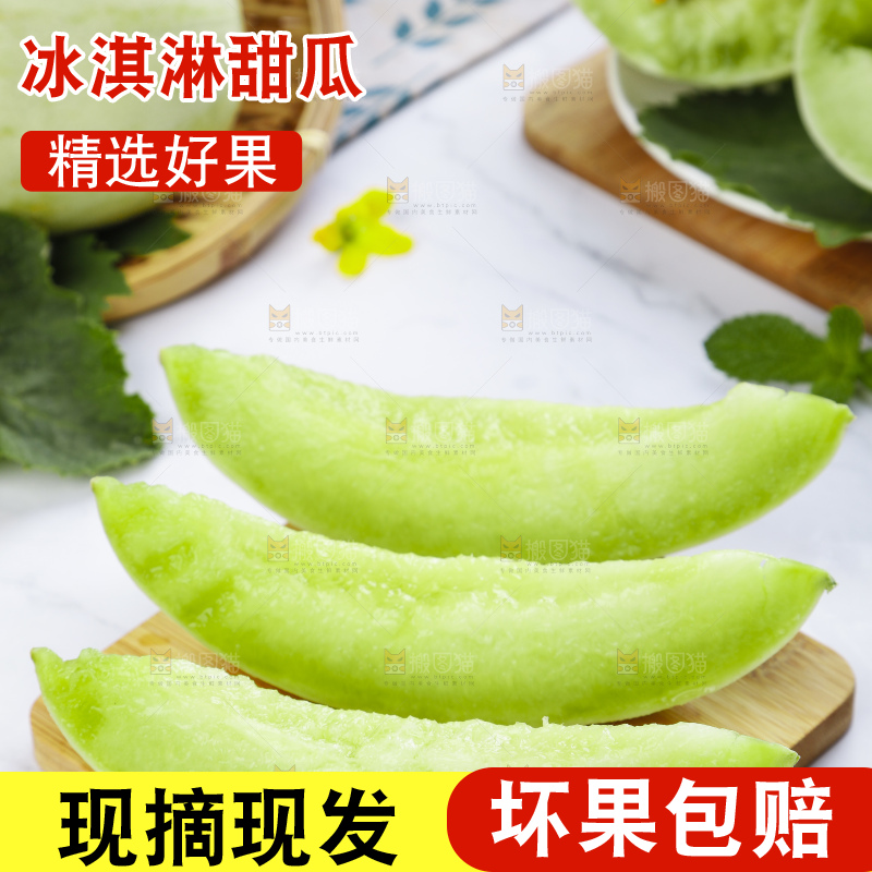 木底上摆放着山东玉菇甜瓜
