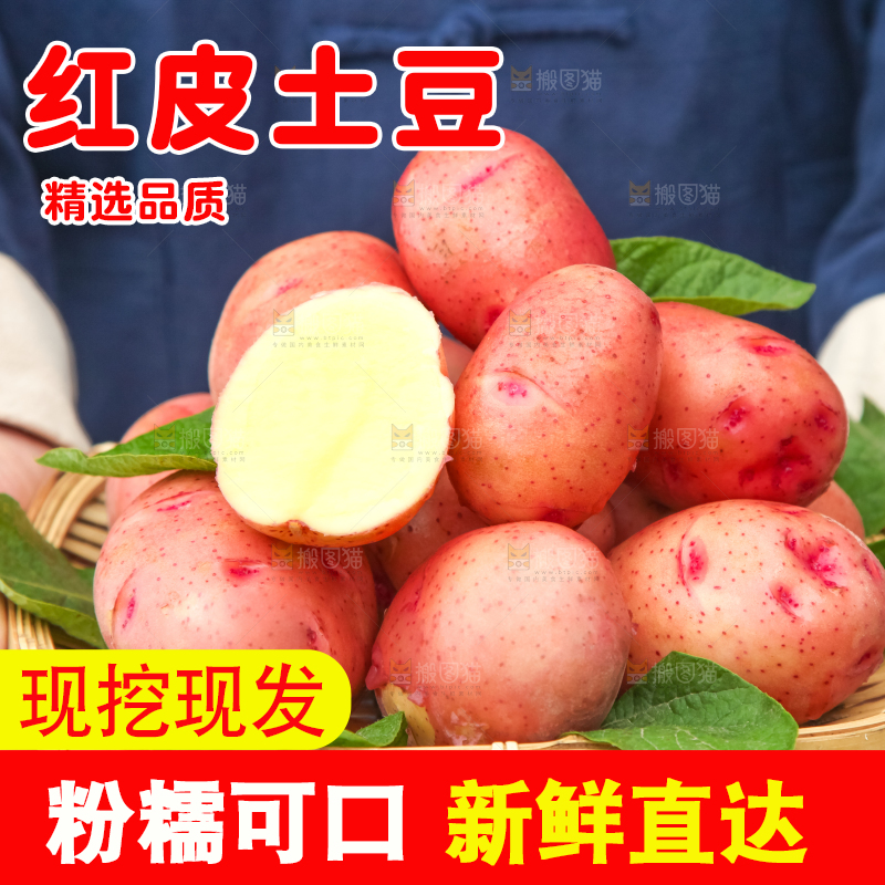 篮子里装着高山红皮土豆