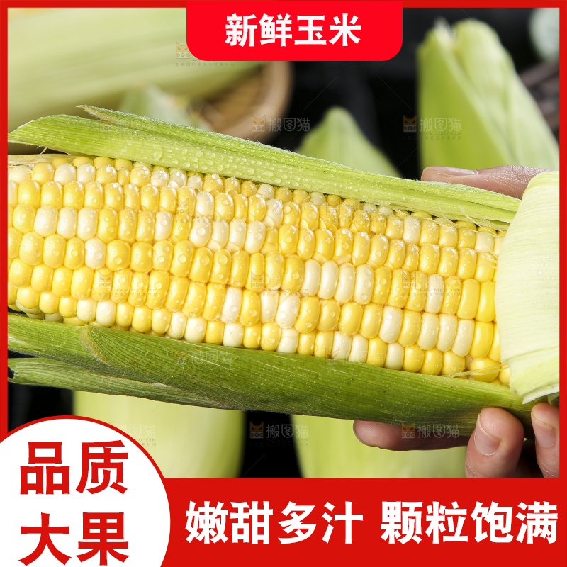 黑底上的云南水果玉米
