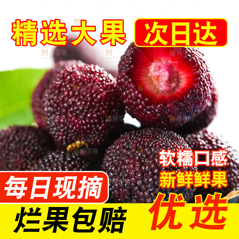篮子里装着野生杨梅