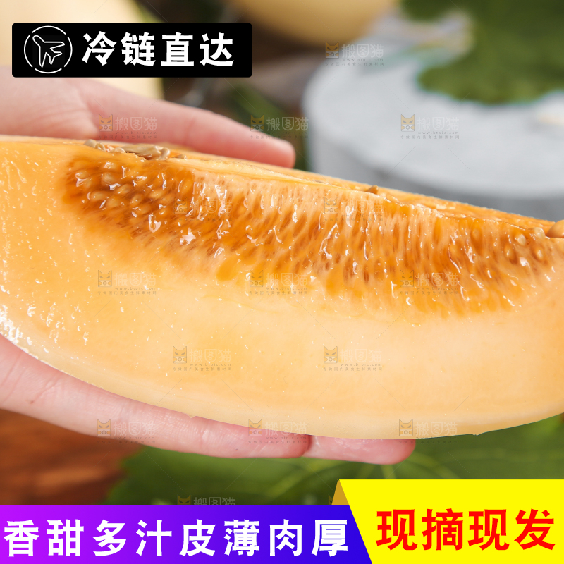 手里拿着东方蜜瓜