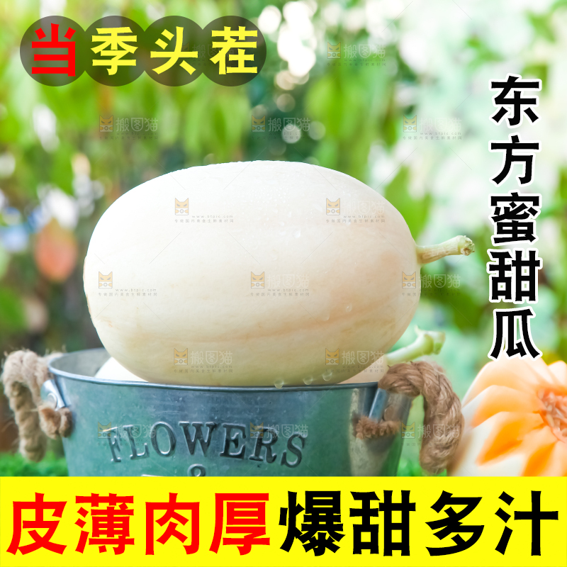 草地上放着蜜瓜