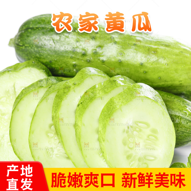 白底上放着刺黄瓜