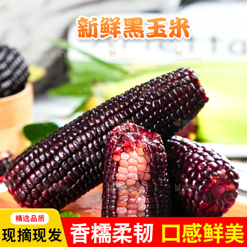木底上放着东北黑玉米