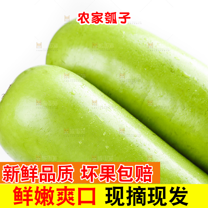 篮子里放着瓠子