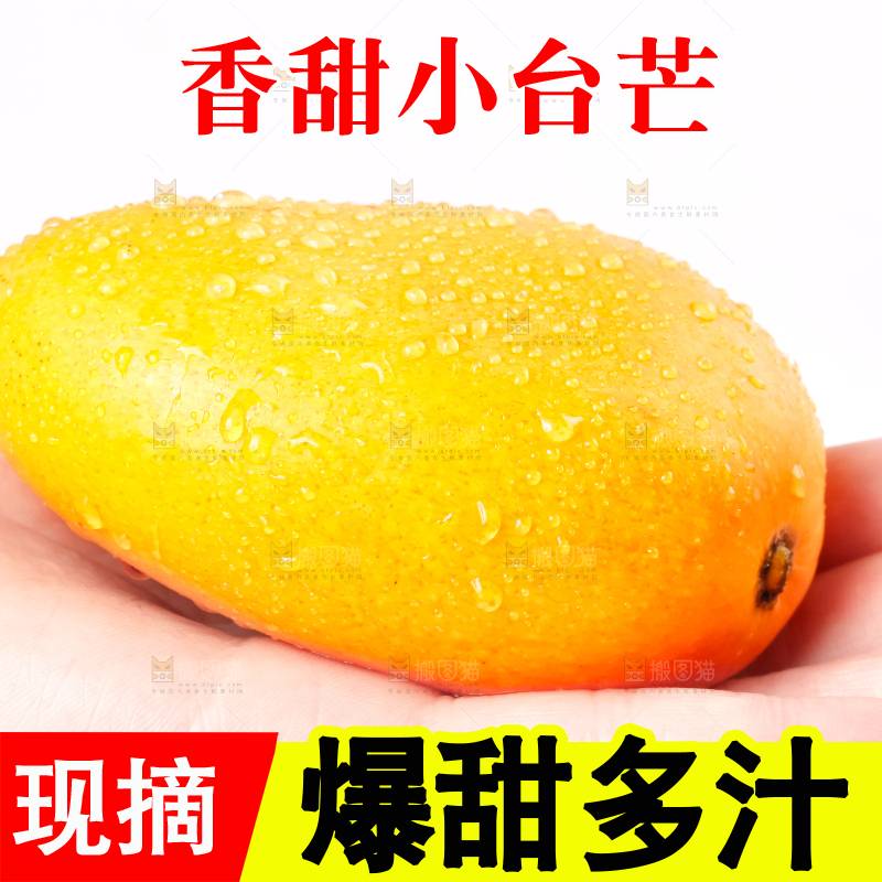 手里拿着台农芒