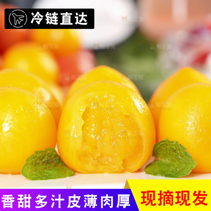 白底上摆放着山东黄金小番茄