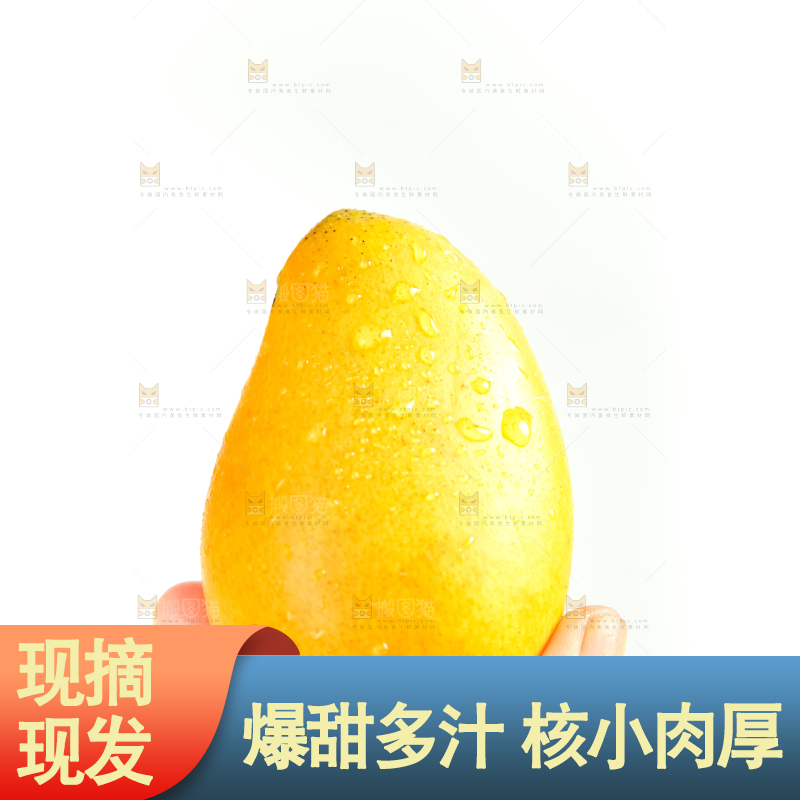 手里拿着小台芒