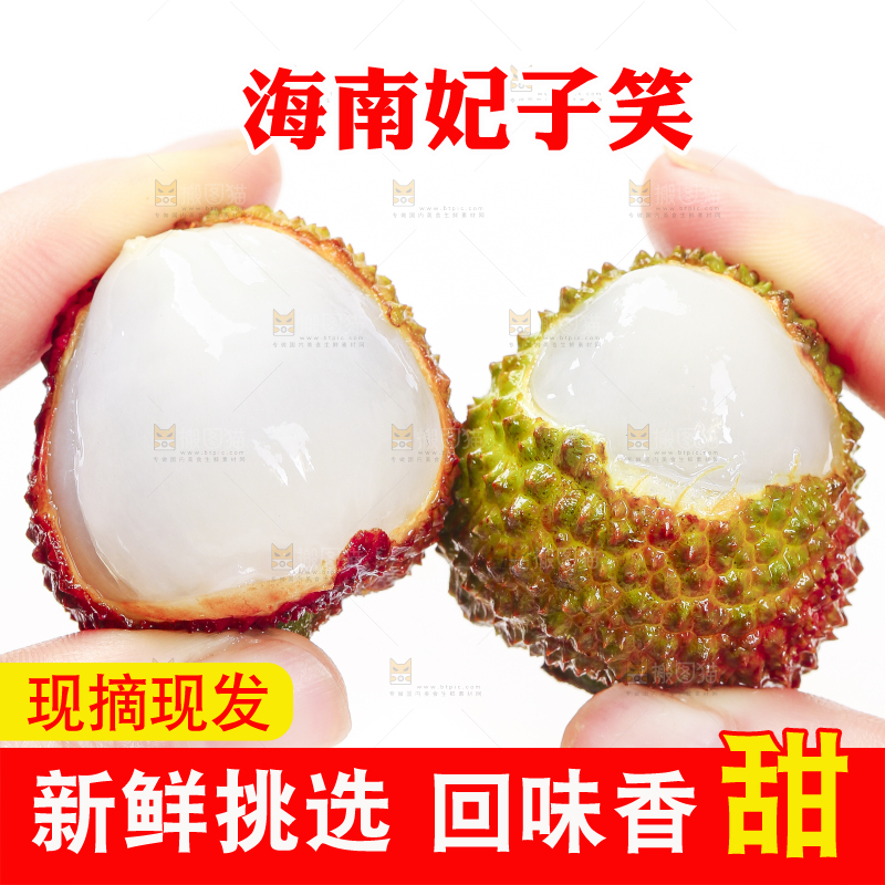 手里拿着新鲜妃子笑荔枝