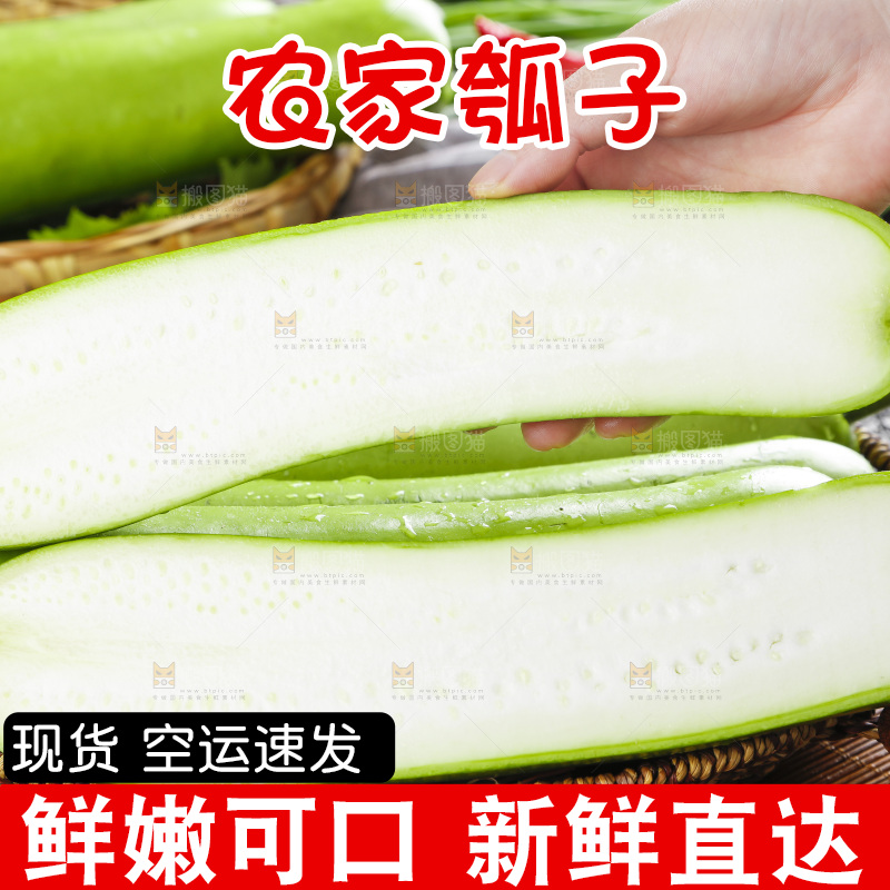手里拿着瓠瓜