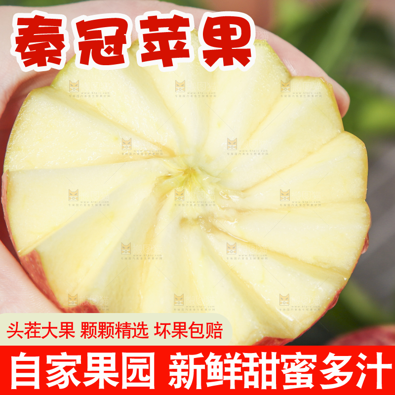 手里拿着秦冠苹果