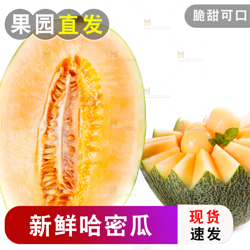 白底上摆放着哈密瓜