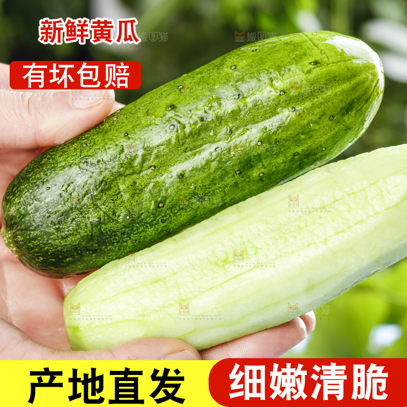 手里拿着黄瓜