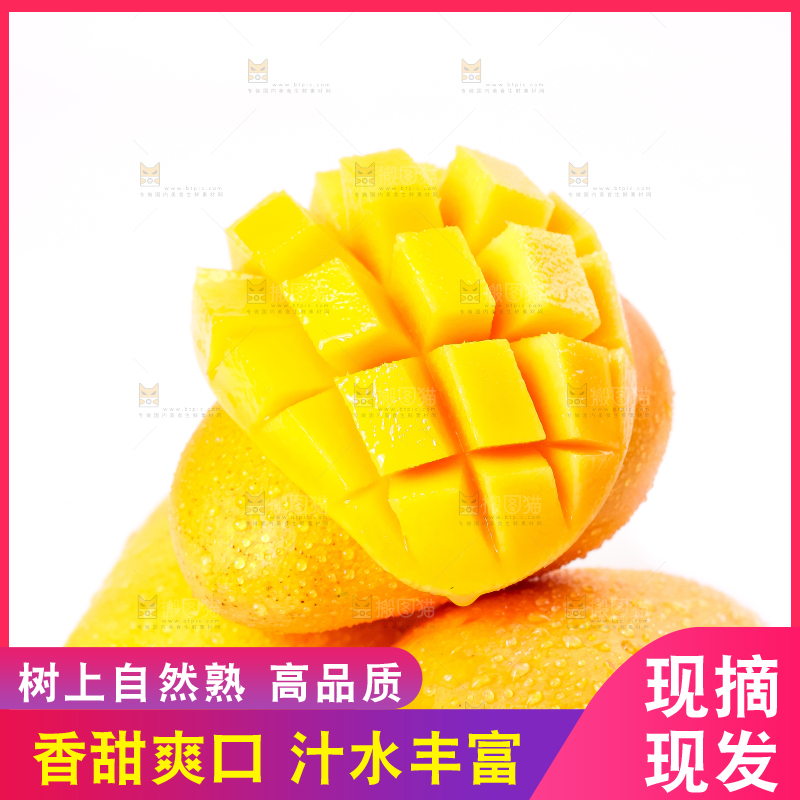 白底上摆放着小台农芒果
