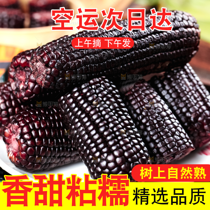 盘子里放着黑玉米