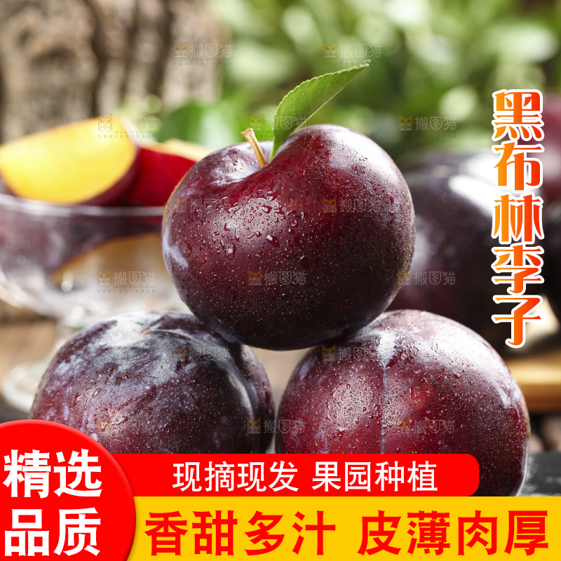 黑底上放着黑李子