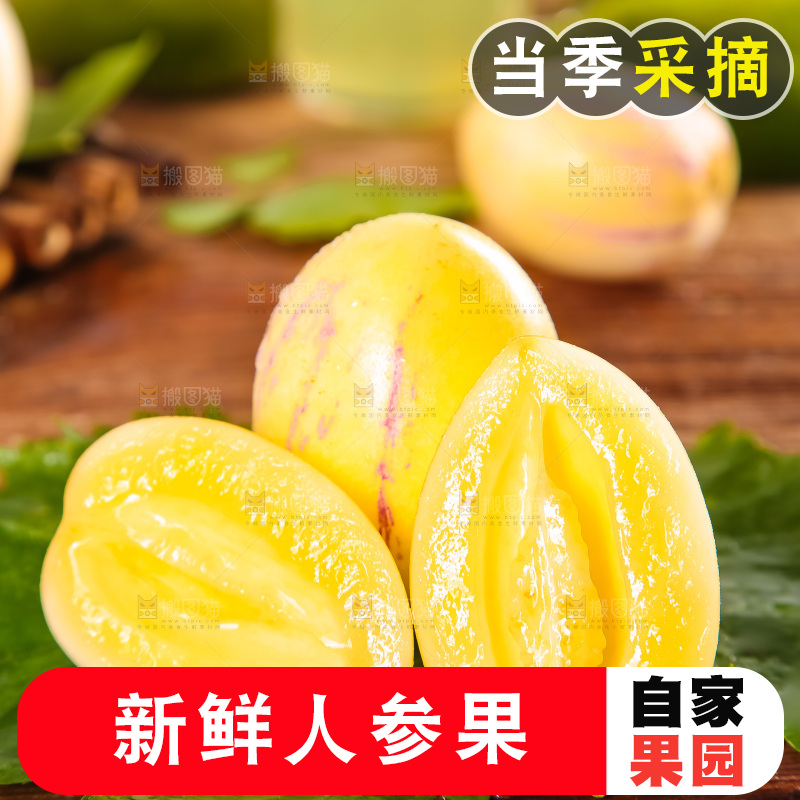 绿叶上摆放着要云南石林人参果