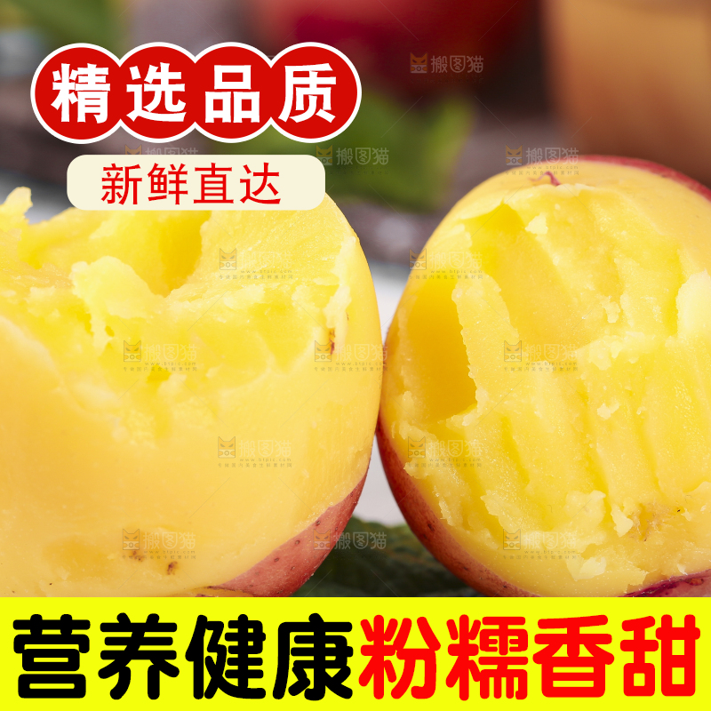 白底上摆放着新鲜土豆