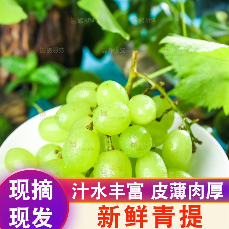 盘子里装着青提
