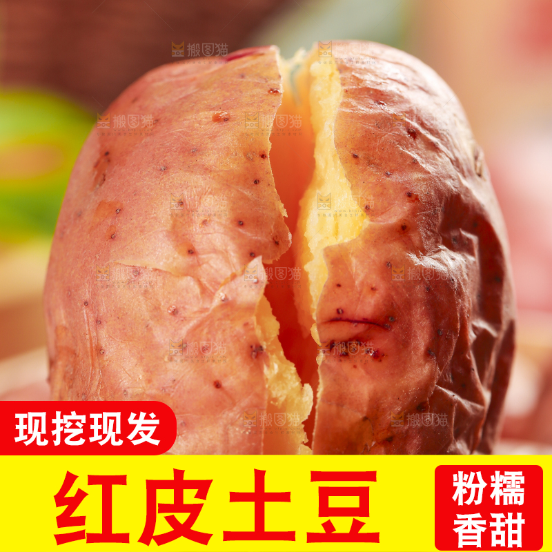 手里拿着红皮土豆