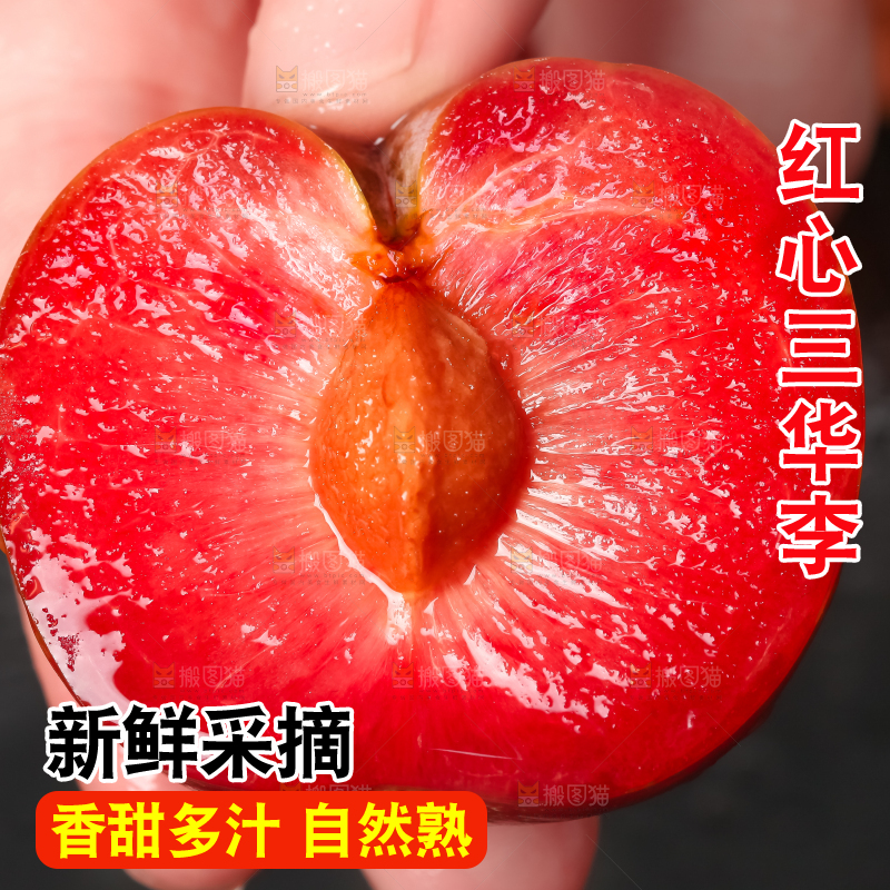 手里拿着广西红心李子