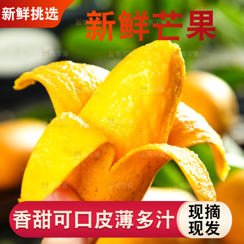 手里拿着小台芒