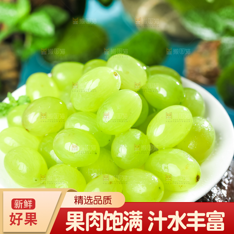 盘子里装着青提