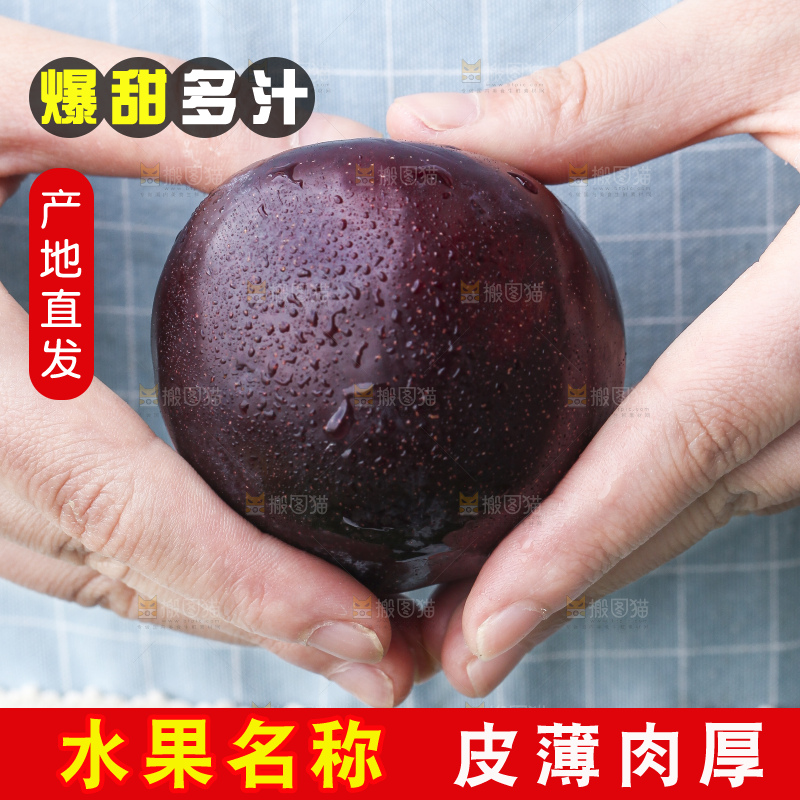 手里拿着进口黑布林