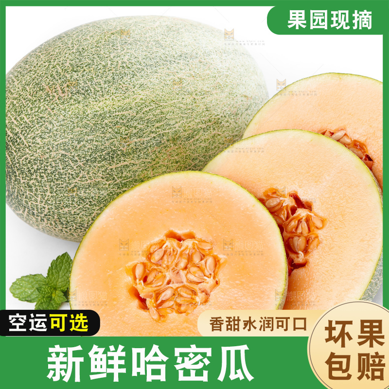 白底上摆放着网纹瓜