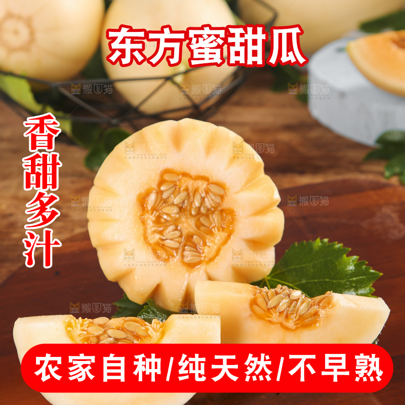 木底上摆放着州东方蜜一号甜瓜