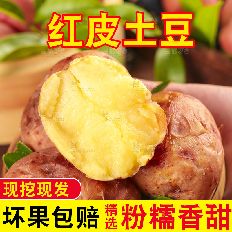 篮子里装着红皮土豆