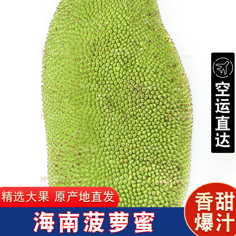 白底上放着菠萝蜜