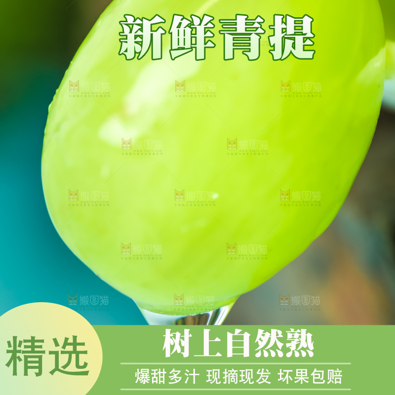 浅底一颗新鲜青提