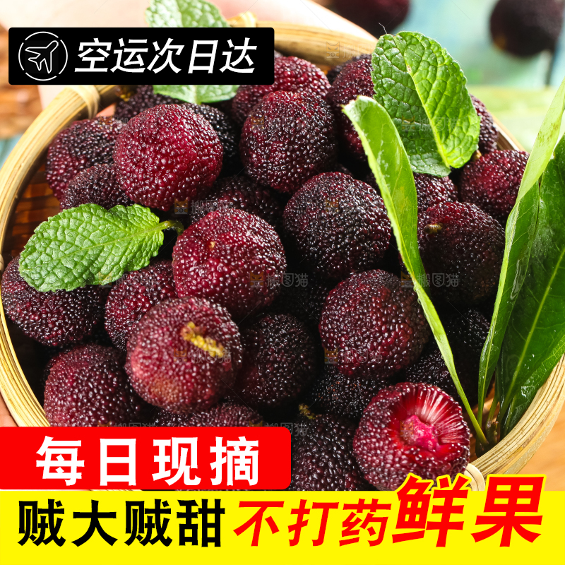 篮子里装着东魁杨梅