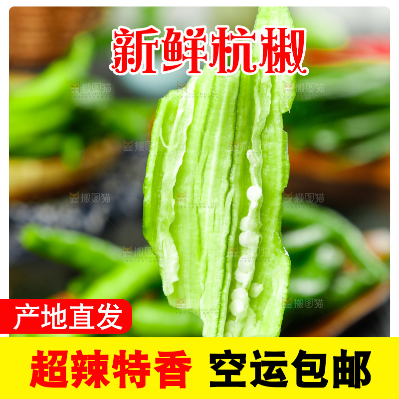手里拿着青尖椒
