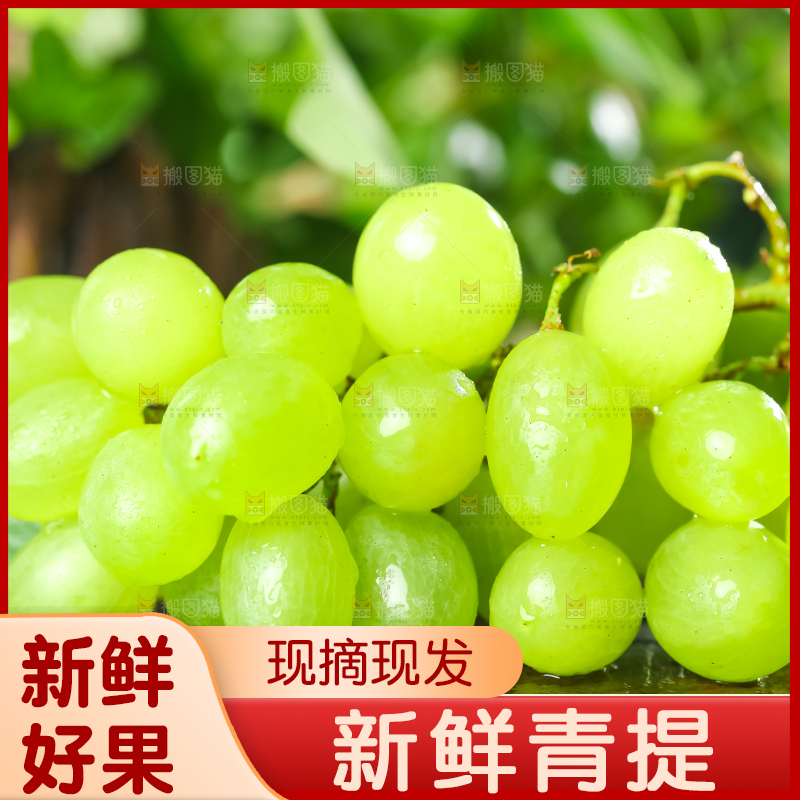 深底上放着云南阳光青提