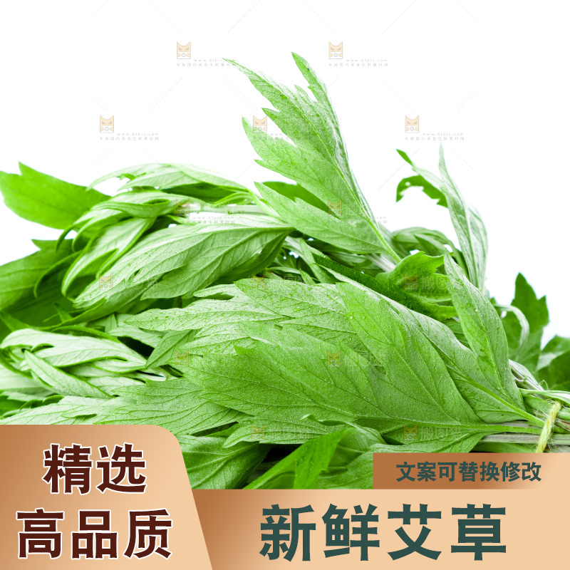 白底上放着艾草叶