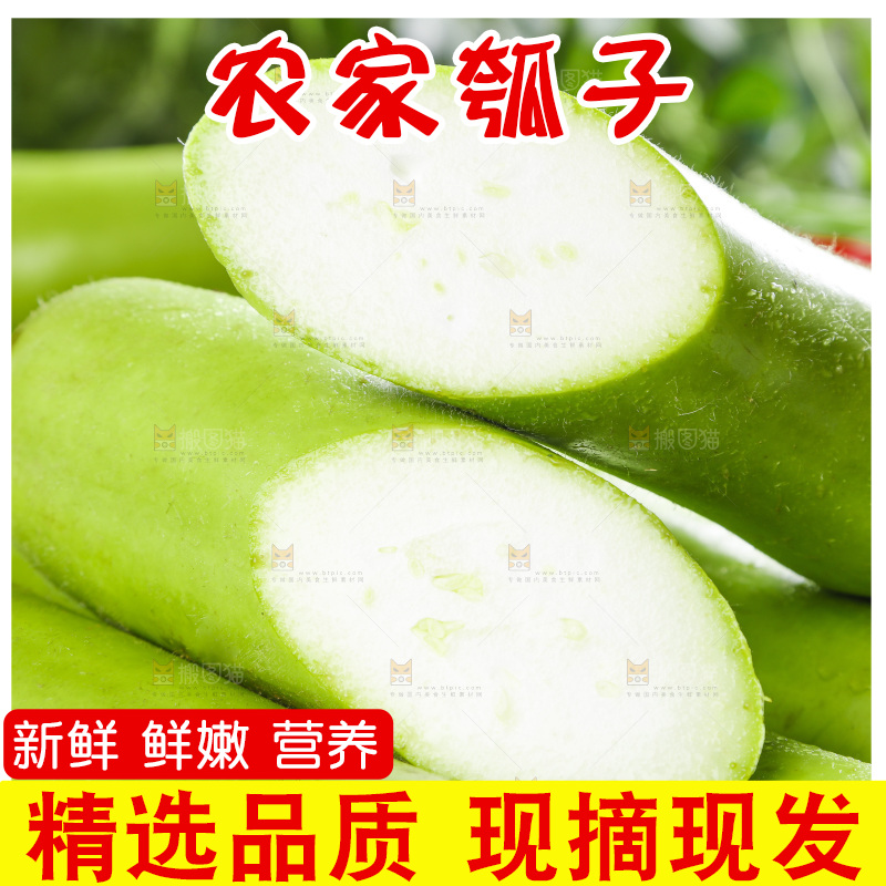 堆放着的瓠瓜