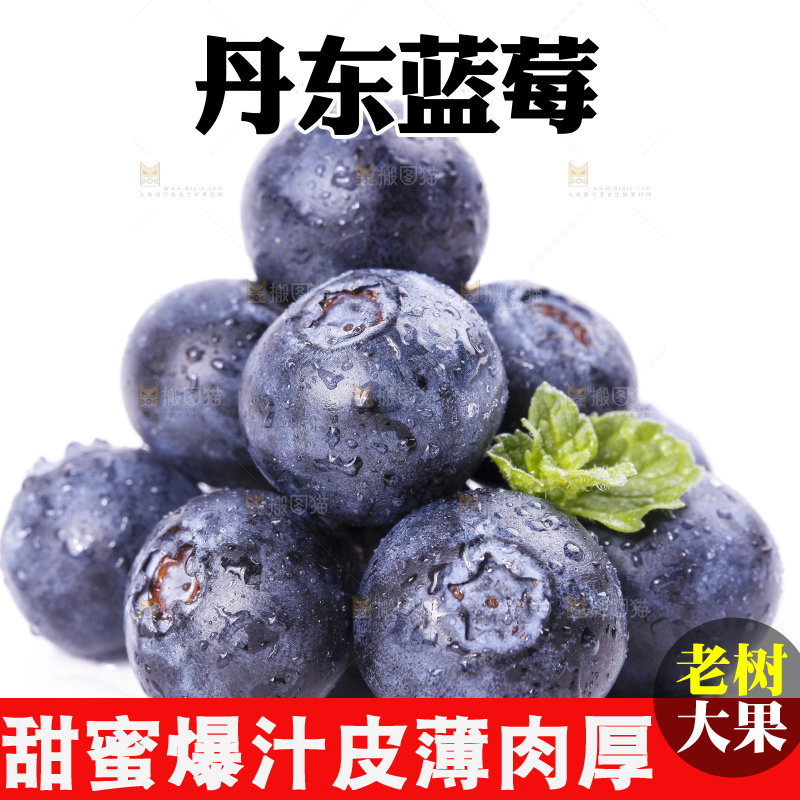 白底上摆放着进口蓝莓