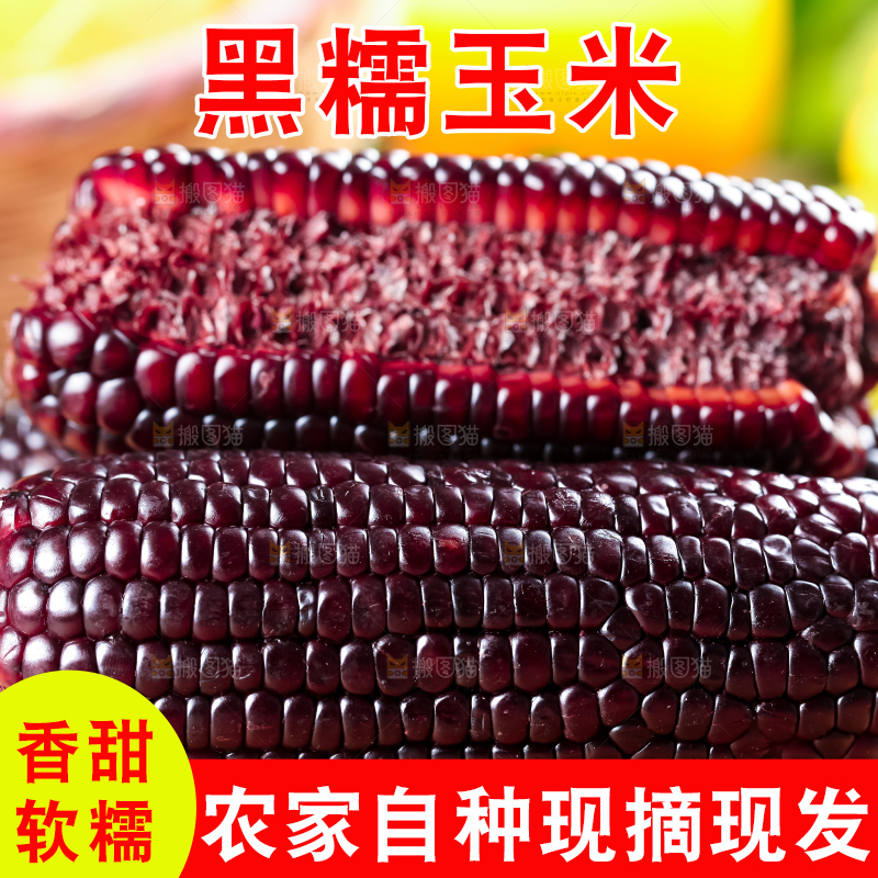 木底上放着黑玉米