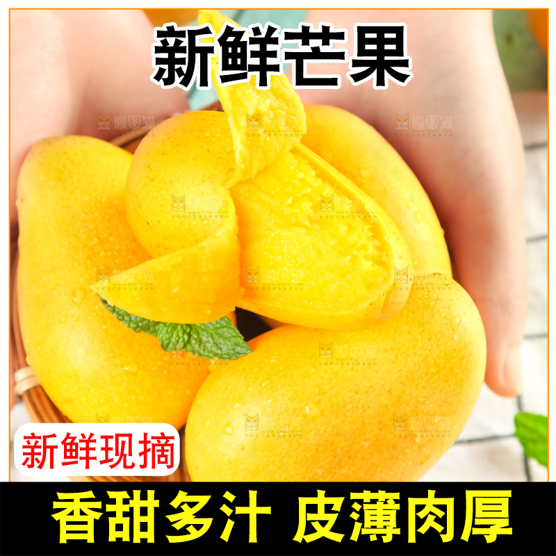 手里端着海南台农芒果