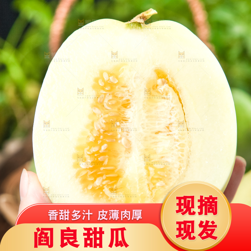 手里拿着阎良甜瓜