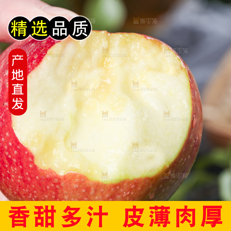 手里拿着秦冠苹果