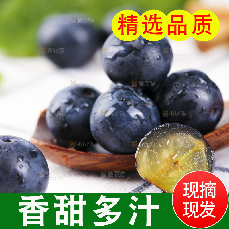 勺子上放着蓝莓果