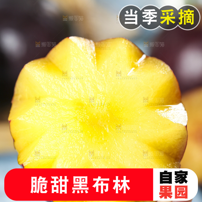 手里拿着陕西黑布林
