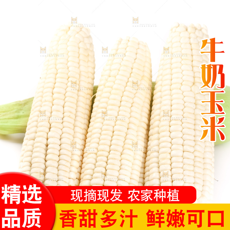 白底上摆放着牛奶水果玉米