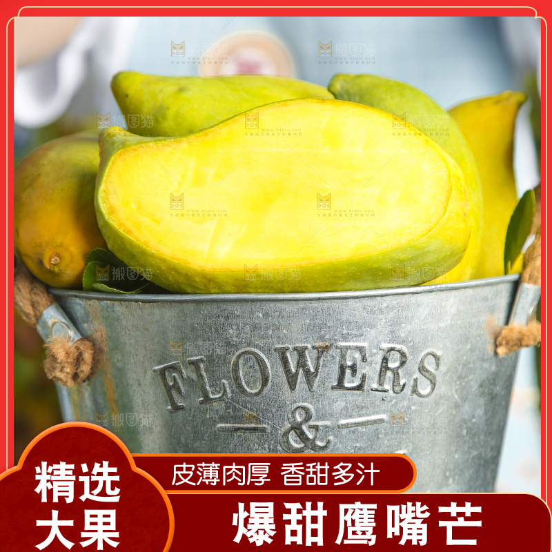 小铁桶里装着云南鹰嘴芒